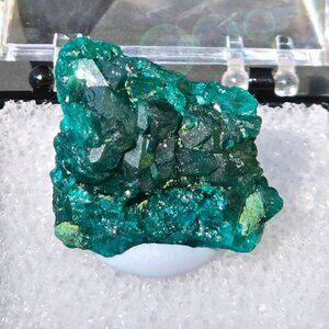 Green Dioptase Crystal Thumbnail | 19g Raw Gem Box Specimen | Congo Origin